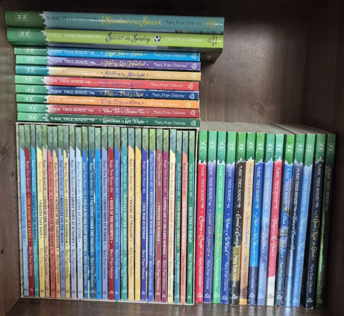 magic tree house 51권(음원없음)